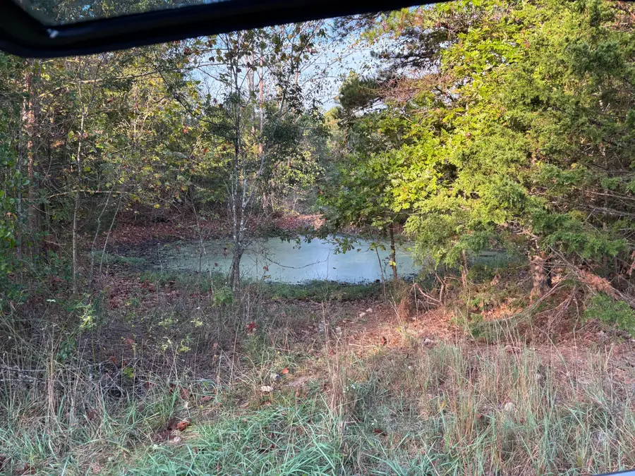 Tbd County Road 14-252, Drury, MO 65638 - Image #3