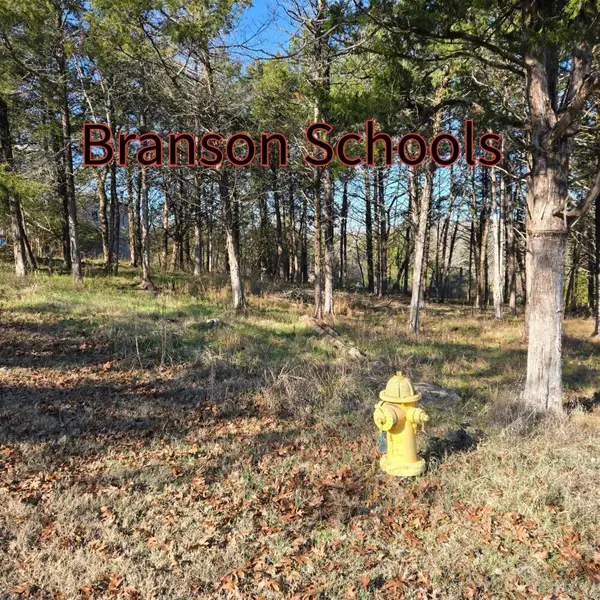 000 Cedar Lane, Rockaway Beach, MO 65740