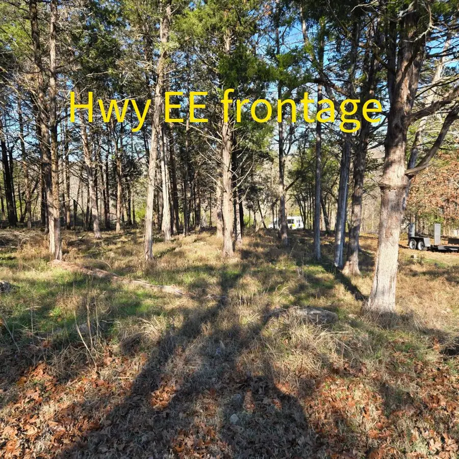 000 Cedar Lane, Rockaway Beach, MO 65740 - Image #3