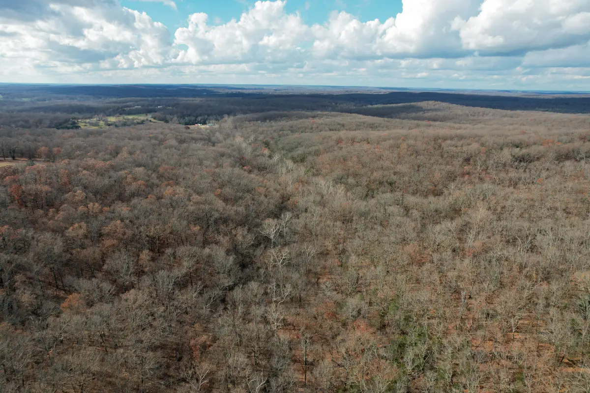 000 Hwy Pp, Collins, MO 64738 - Image #1