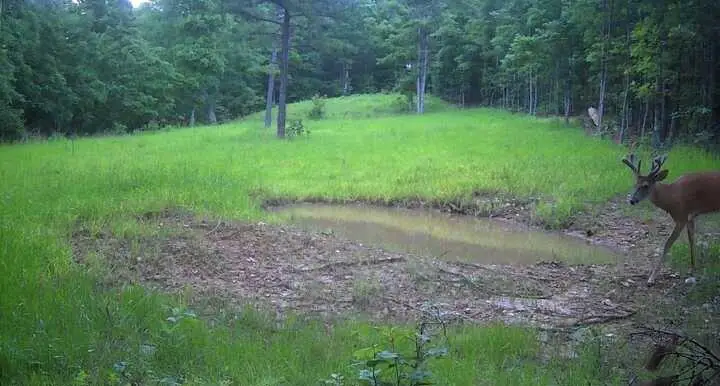 000 Briar Ridge Lane, Winona, MO 65588 - Image #3