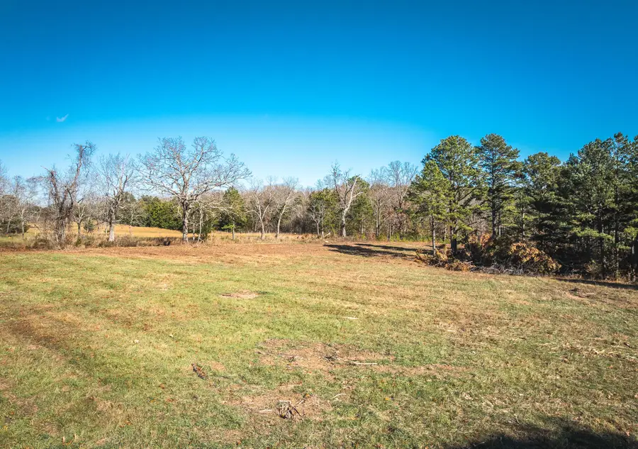 17029 Deason Drive, Licking, MO 65542 - Image #2