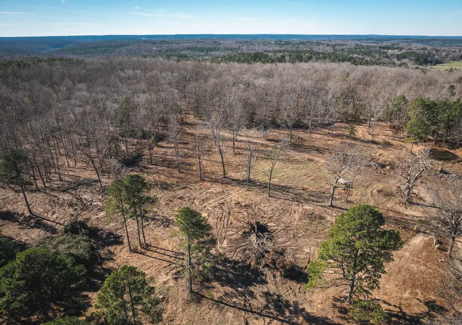 17029 Deason Drive, Licking, MO 65542 - Image #3