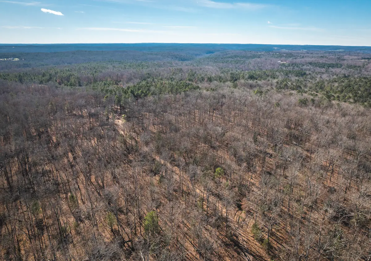 000 Deason Drive-tract 1, Licking, MO 65542 - Image #1