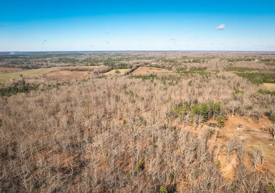 000 Deason Drive-tract 1, Licking, MO 65542 - Image #3