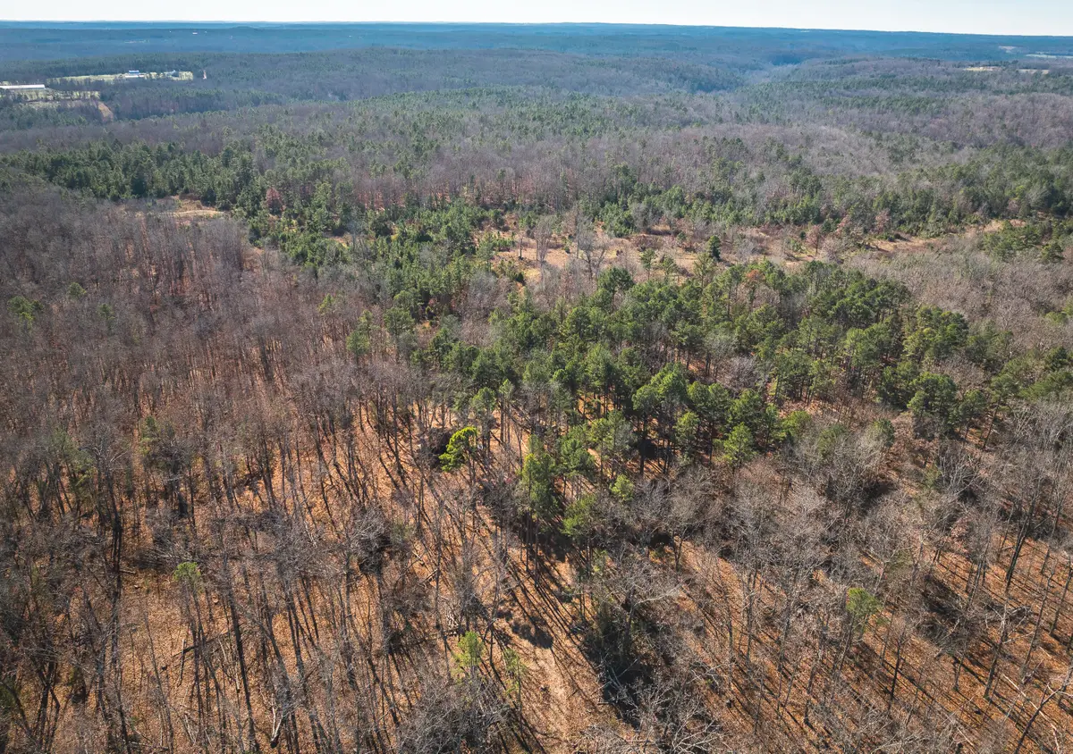 000 Deason Drive-tract 2, Licking, MO 65542 - Image #1