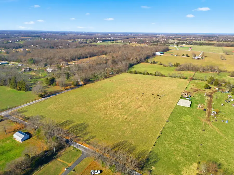 849 Hedgpeth Road, Rogersville, MO 65742 - Image #3