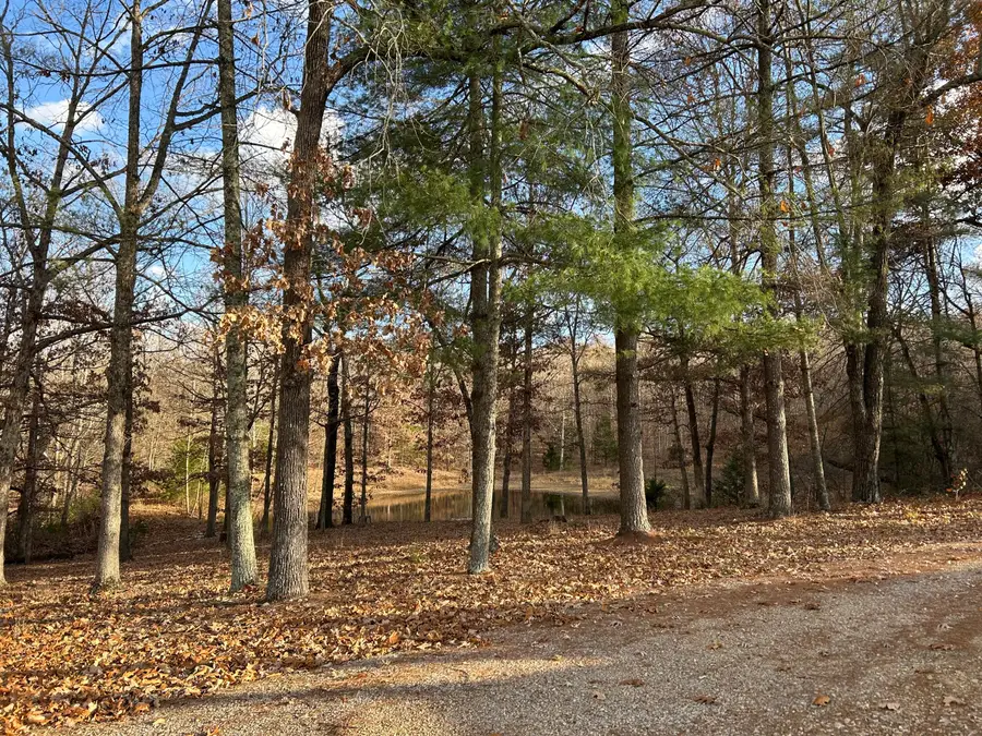 2483 County Road 314, Alton, MO 65606 - Image #2