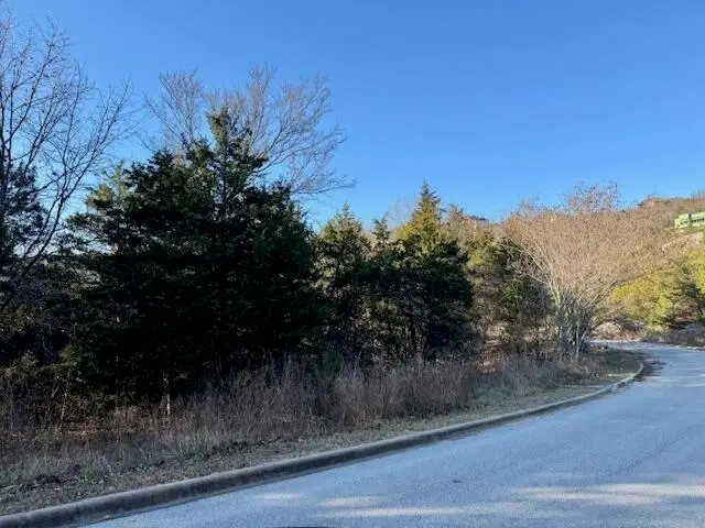 743 Crescent Drive, Hollister, MO 65672 - Image #3