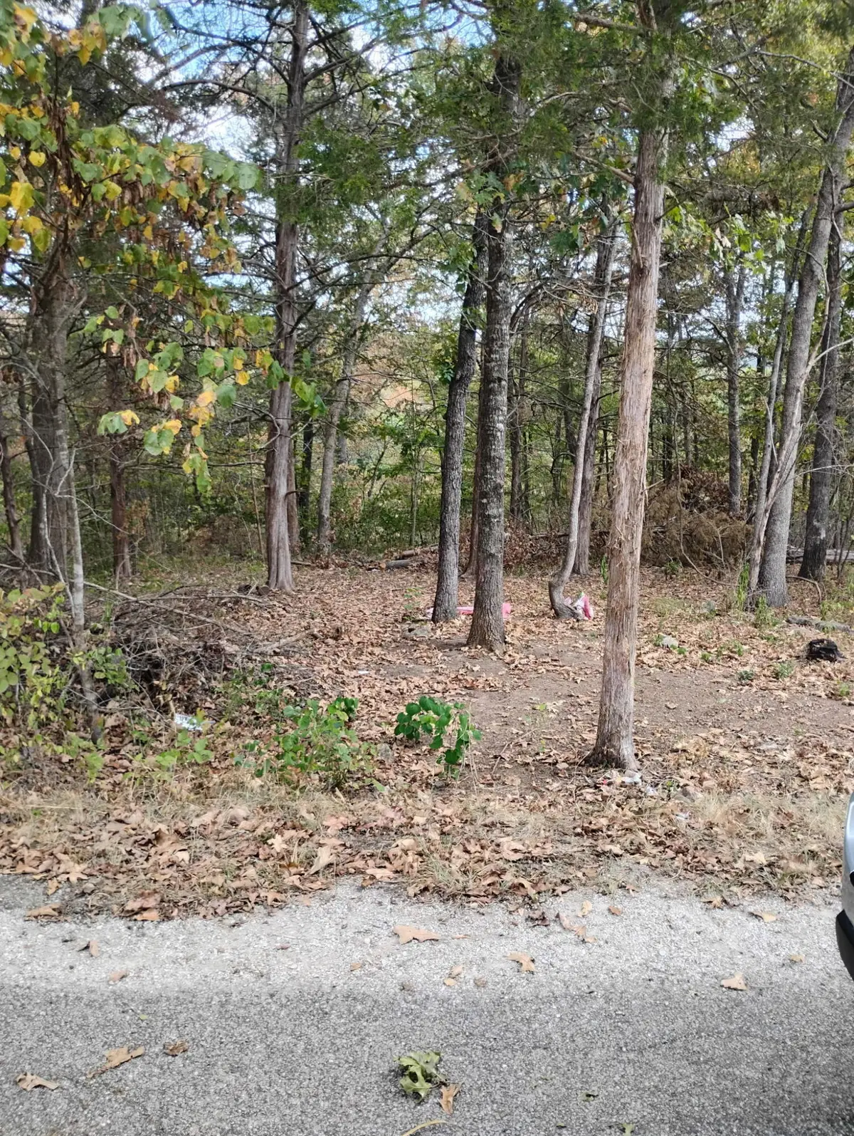 280 Mach Lane, Rockaway Beach, MO 65740 - Image #1