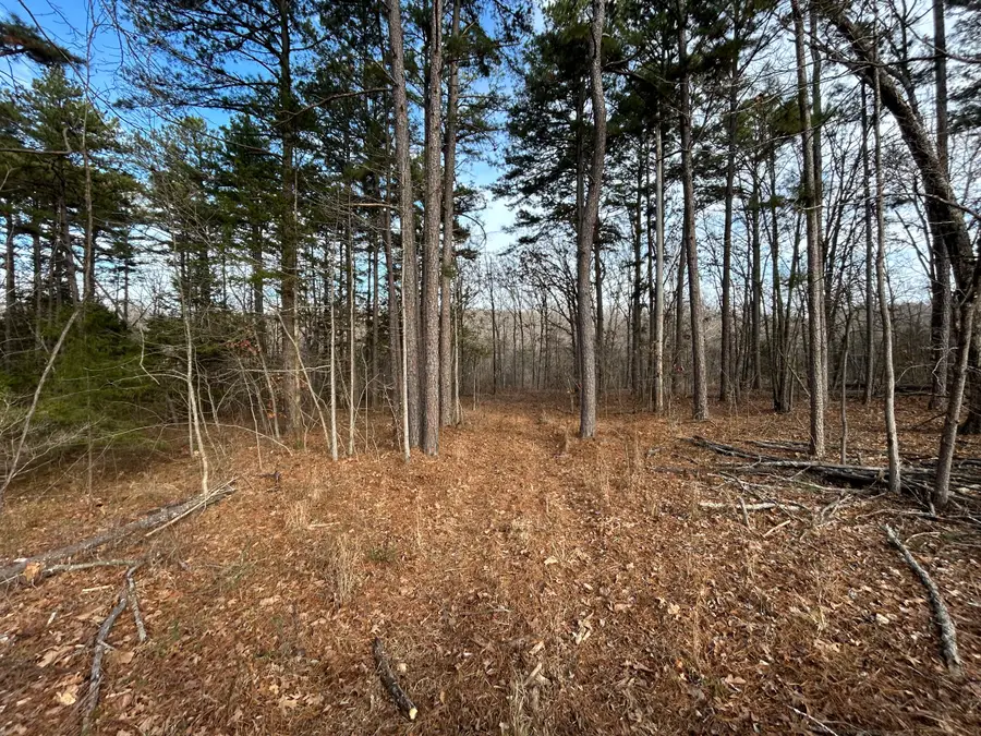 000 Berry Road, Cabool, MO 65689 - Image #2