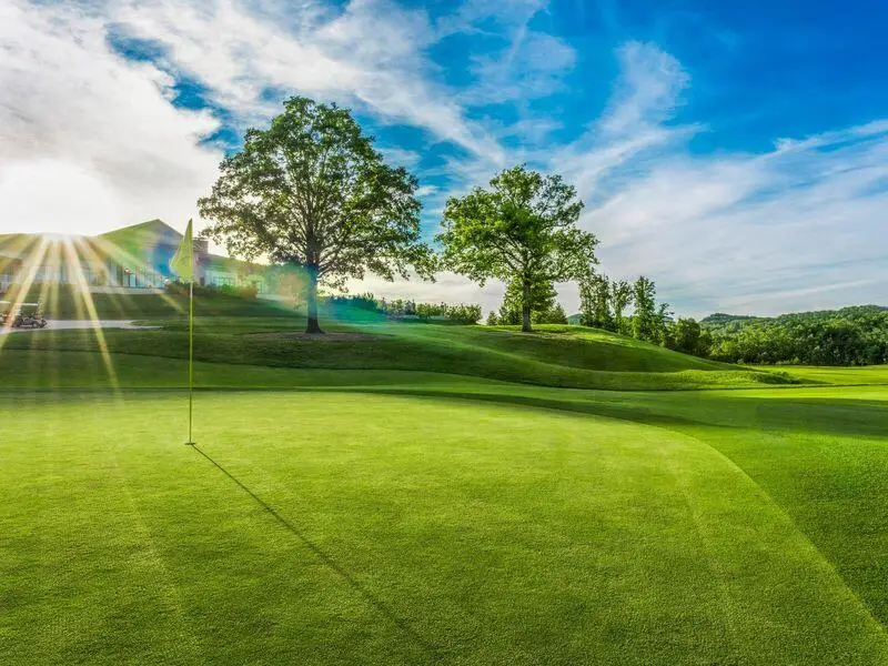 13 Pebble Beach Drive, Branson, MO 65616 - Image #2