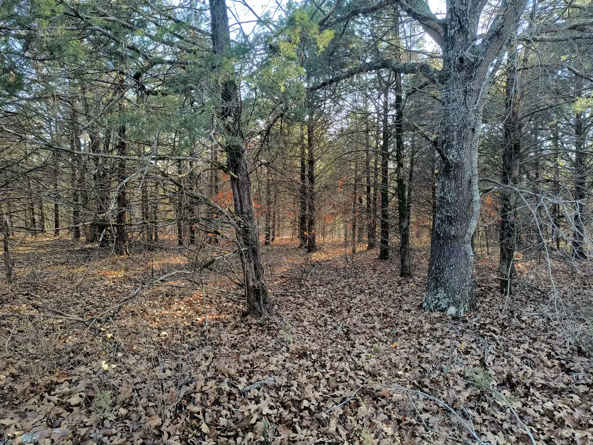 000 County Road 648, Theodosia, MO 65761 - Image #1