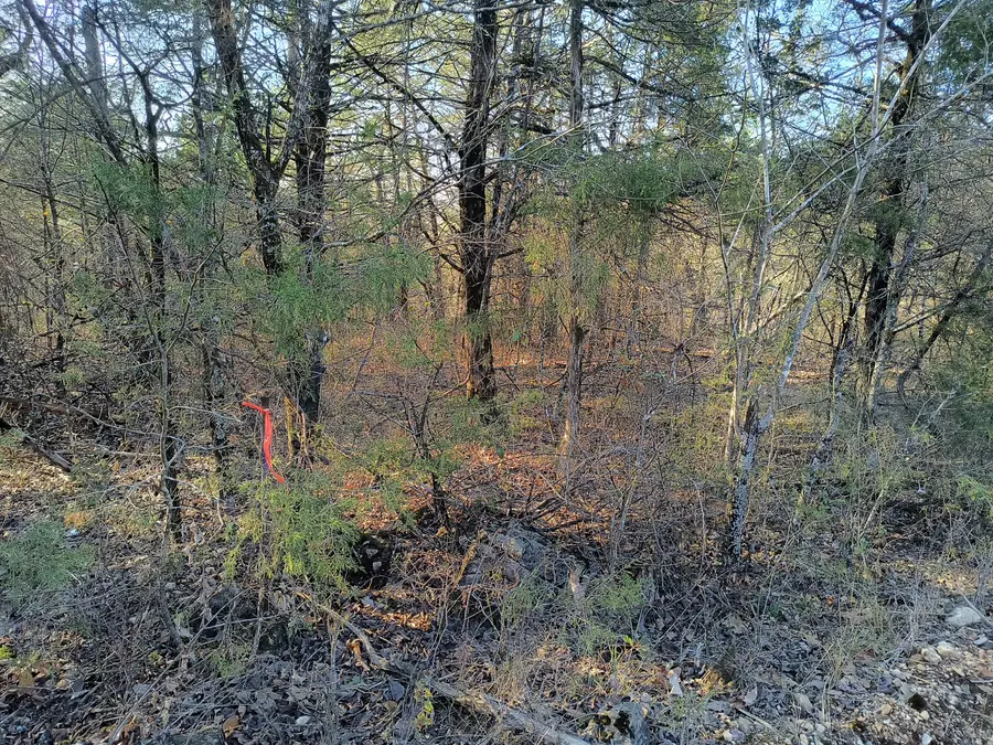 000 County Road 648, Theodosia, MO 65761 - Image #3