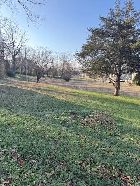 2 Residential Lots Gibbs Street, Mount Vernon, MO 65712 - Image #2