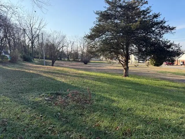 2 Residential Lots Gibbs Street, Mount Vernon, MO 65712 - Image #3