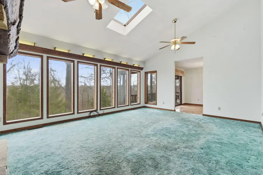 564 Cr 636, Theodosia, MO 65761 - Image #3