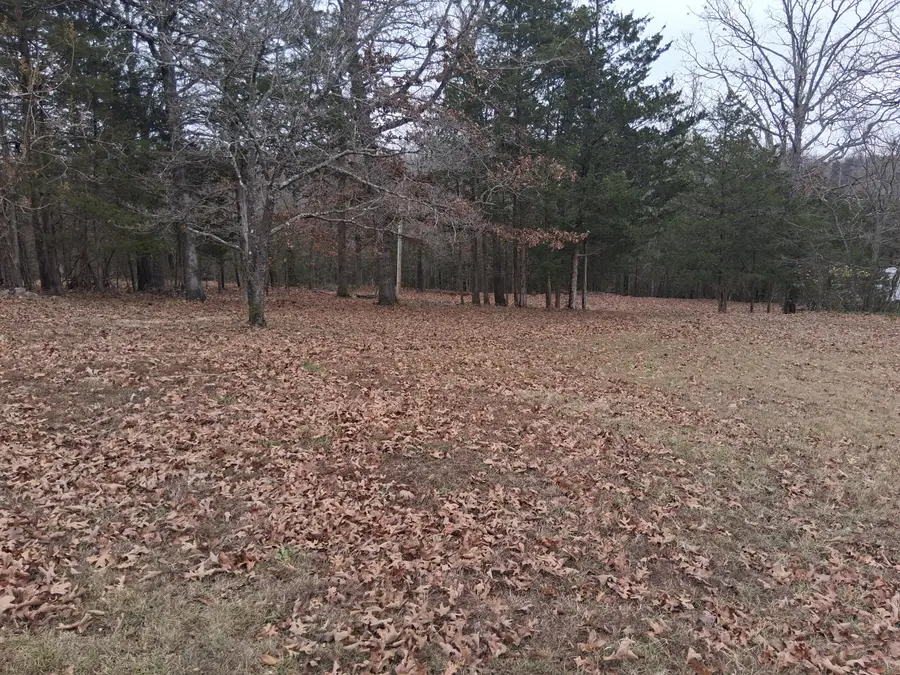 #7 Shore Wind Drive, Theodosia, MO 65761 - Image #3