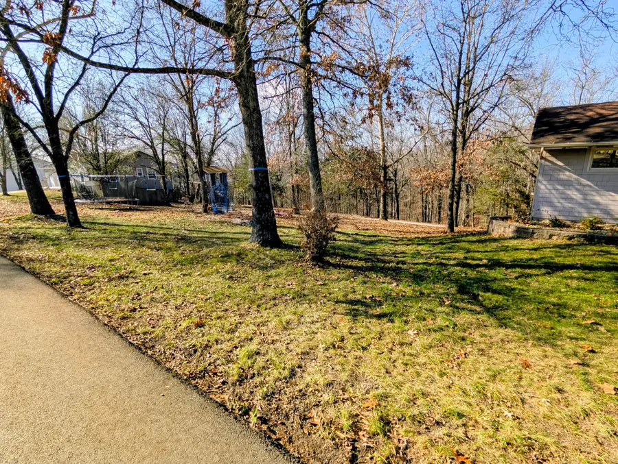 35 Hilltop Lane, Branson, MO 65616 - Image #3