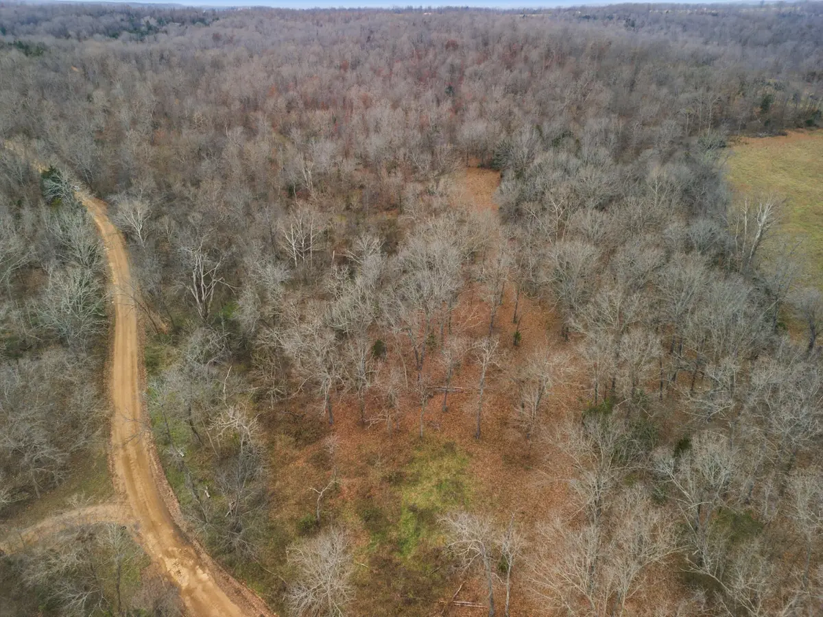 Tbd County Road 219, Thayer, MO 65791 - Image #1