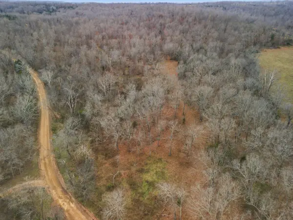 Tbd County Road 219, Thayer, MO 65791