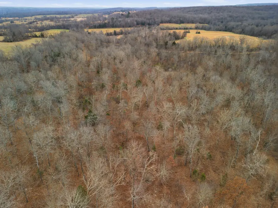 Tbd County Road 219, Thayer, MO 65791 - Image #3