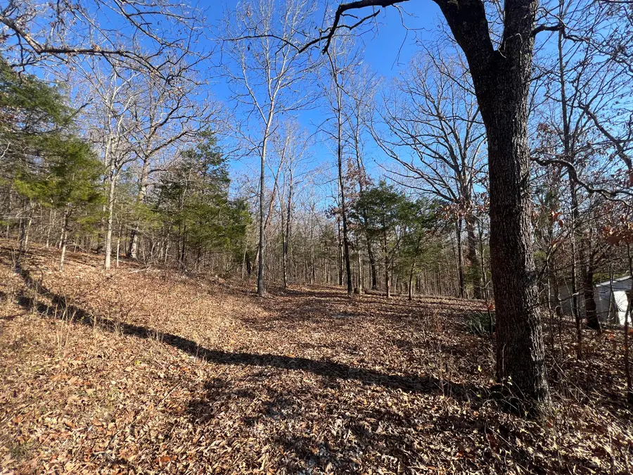 61 Allen Drive, Theodosia, MO 65761 - Image #3