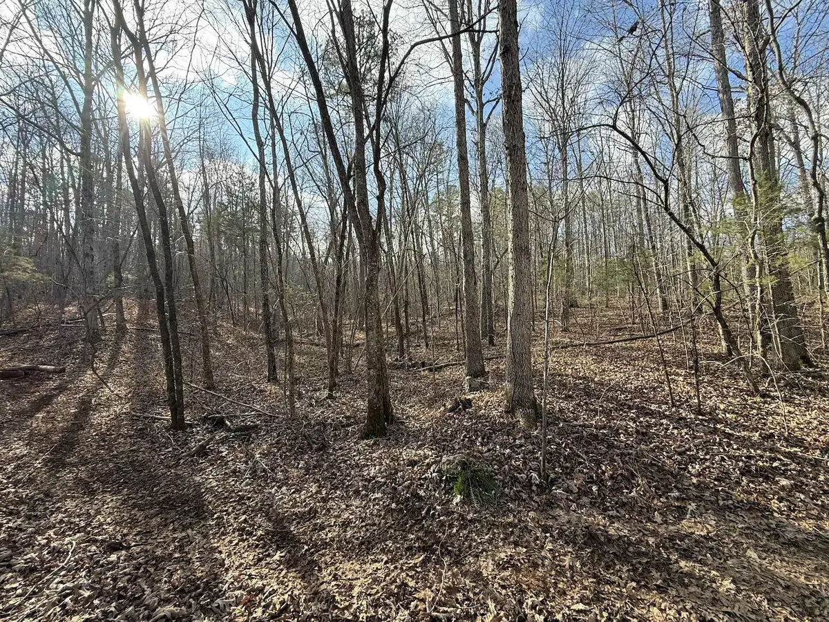 000 Ottofy Way, Eminence, MO 65466 - Image #1