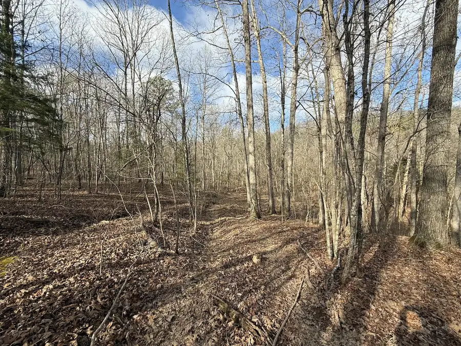 000 Ottofy Way, Eminence, MO 65466 - Image #2