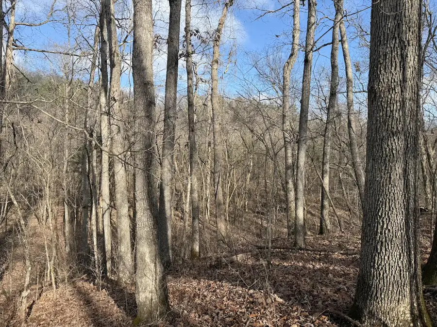 000 Ottofy Way, Eminence, MO 65466 - Image #3