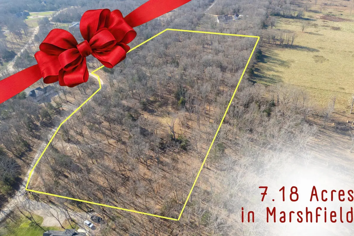 81 Shewanano, Marshfield, MO 65706 - Image #1