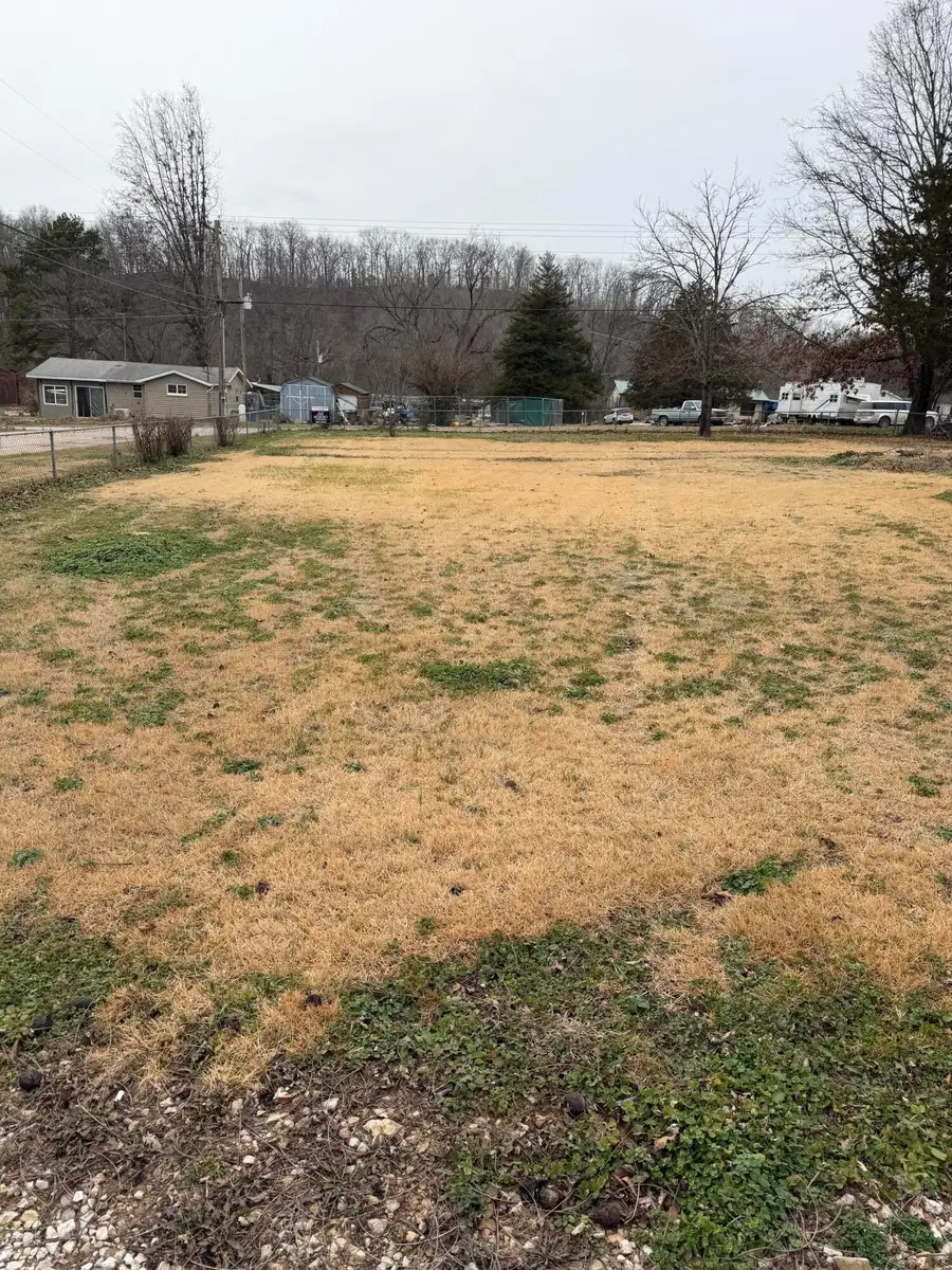 39 S Lakeview Lane, Galena, MO 65656 - #3