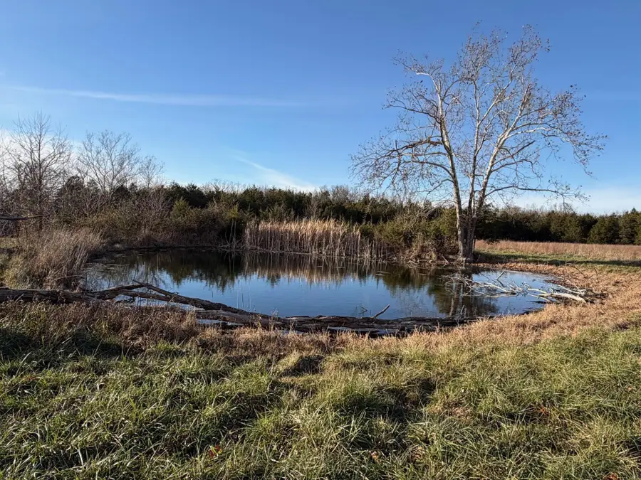 000 State Hwy Aa, Taneyville, MO 65759 - Image #3