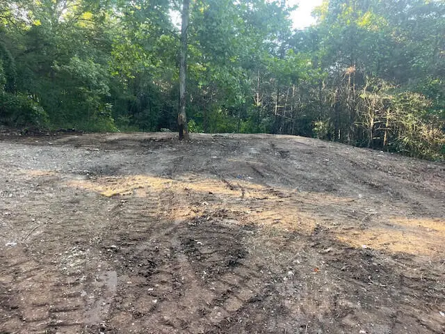 000 Daless Court, Hollister, MO 65672 - Image #3