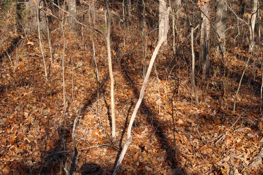 0 SW 50th Road, Osceola, MO 64776 - Image #2