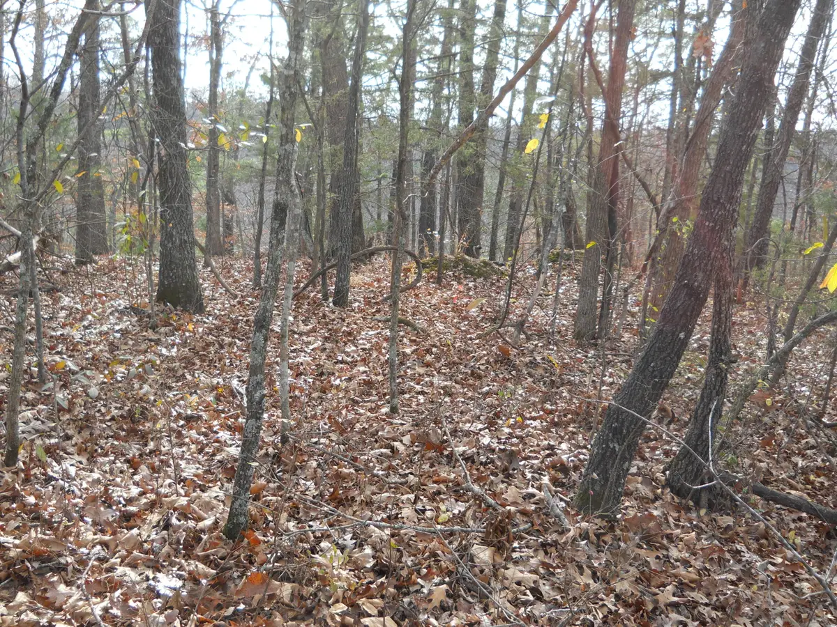 Lot 3 Will Rd, Lampe, MO 65681 - Image #1
