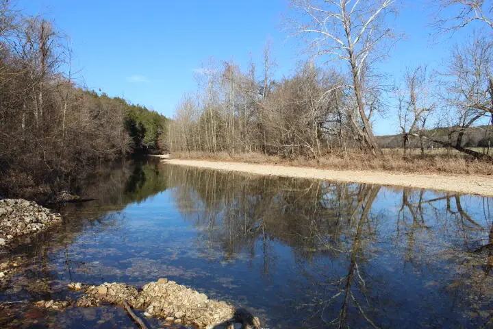 Address Withheld By Seller, Gainesville, MO 65655 - Image #2