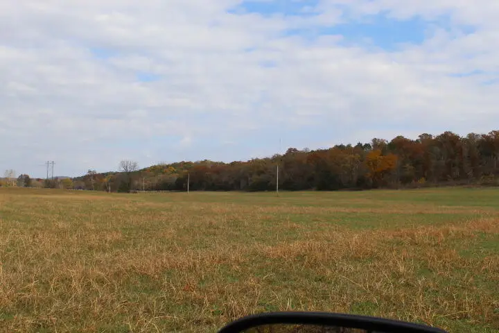 Address Withheld By Seller, Gainesville, MO 65655 - Image #3