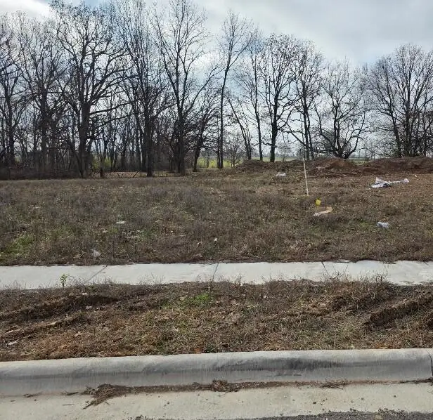 670 W Brook Hollow Road, Nixa, MO 65714 - Image #1