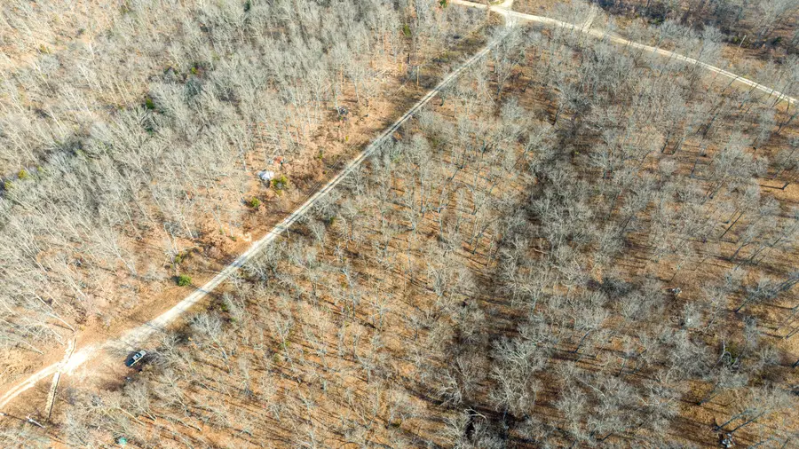 000 Clear Sky Drive, Marshfield, MO 65706 - Image #3