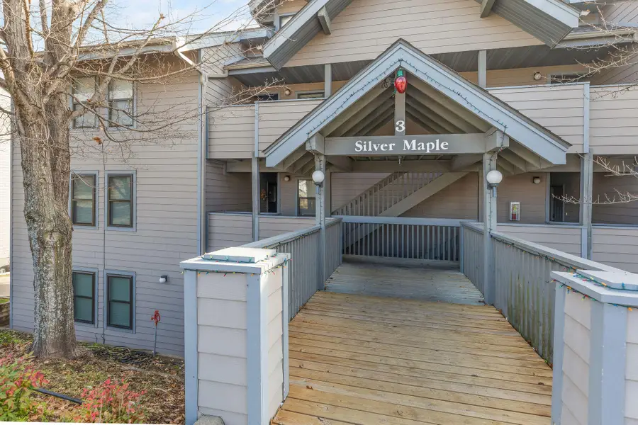 3 Treehouse Lane #1, Ruth C Rural, MO 65616 - Image #2