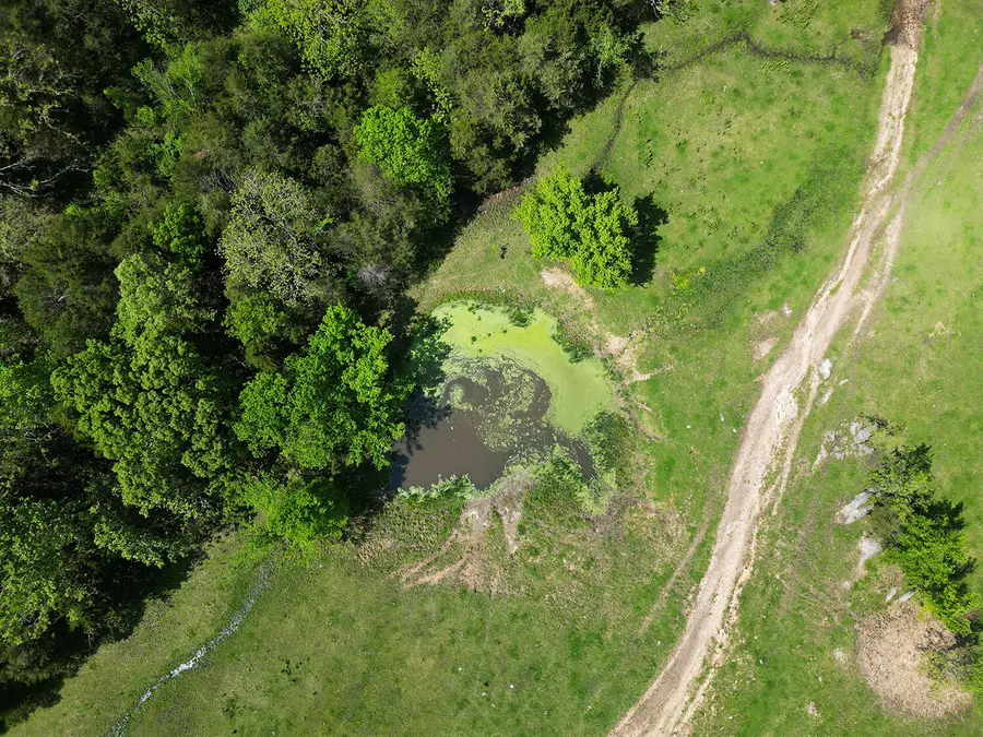 0 Red Barn Road #E Side, Grovespring, MO 65662 - Image #3