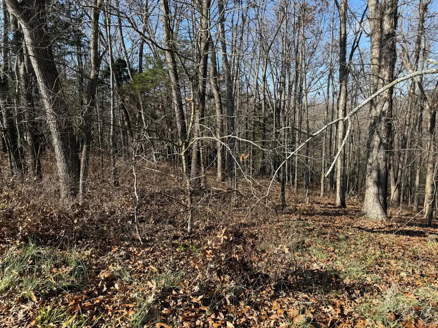 Lot 11 Hillcrest Drive, Kimberling City, MO 65686 - Image #3