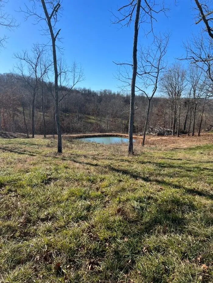 000 State Hwy U, Ava, MO 65608 - Image #3