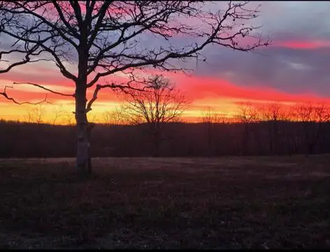 17621 U, Ava, MO 65608 - Image #2