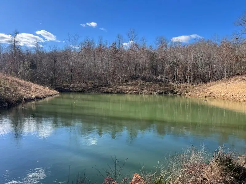 17621 U, Ava, MO 65608 - Image #3