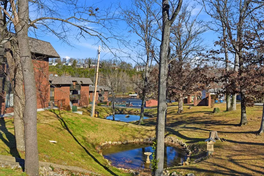 180 Wilshire Drive #88, Hollister, MO 65672 - Image #3