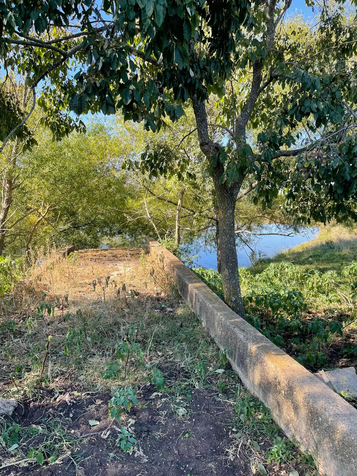 000 County Road 4220, West Plains, MO 65775 - Image #1