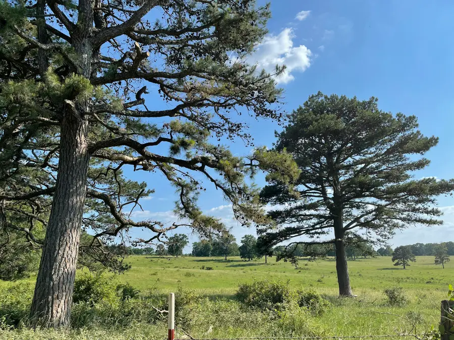 000 County Road 4300, West Plains, MO 65775 - Image #3