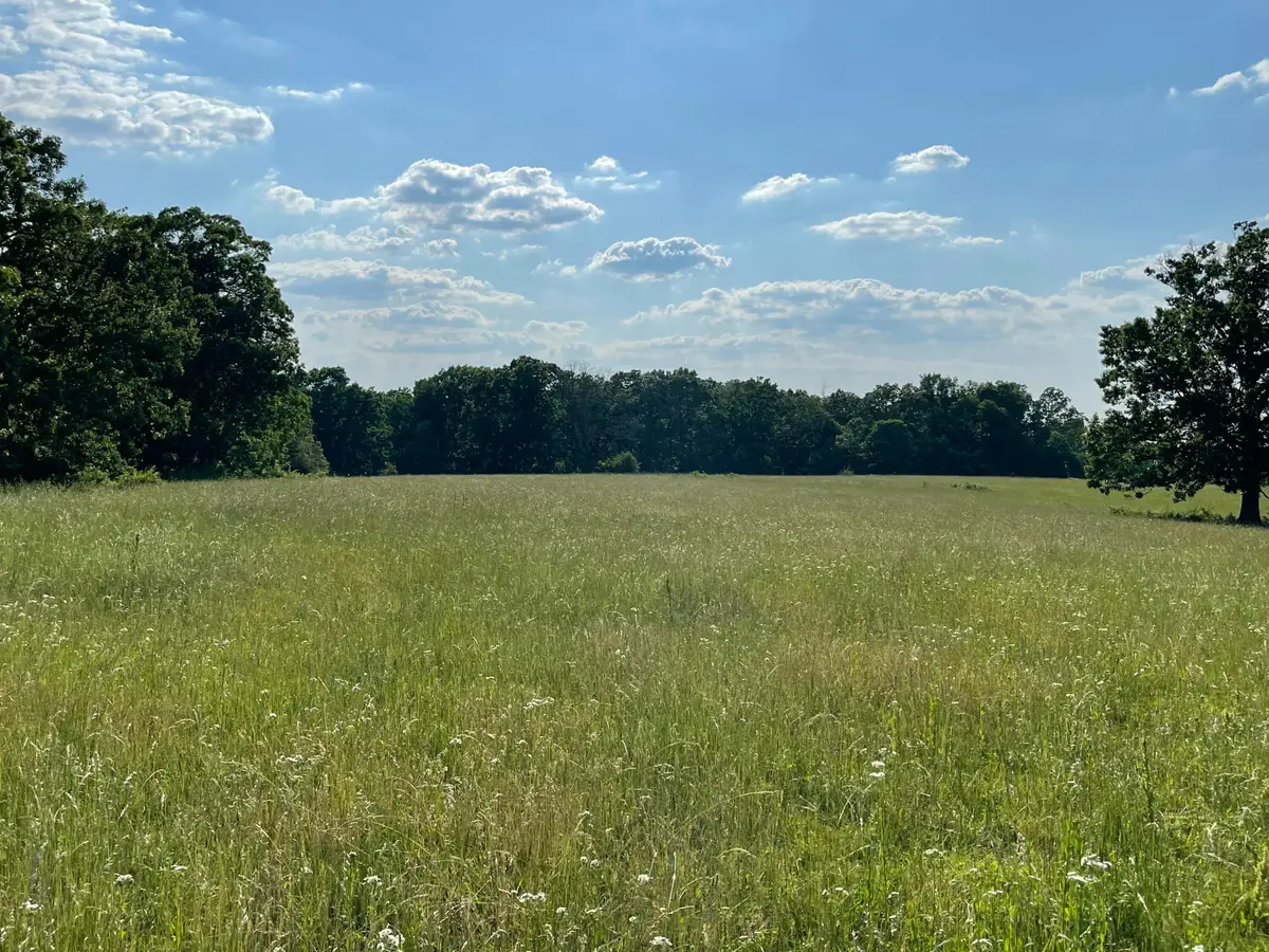000 County Road 4300, West Plains, MO 65775 - Image #1